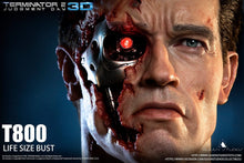 Load image into Gallery viewer, Queen Studios Life Size T2 T800 Bust