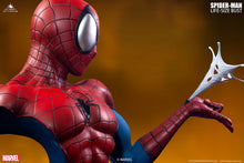 Load image into Gallery viewer, Queen Studios Life Size Comic Spiderman Bust