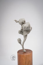 Load image into Gallery viewer, Yuan Xing Liang - Chinese Ladies - Plum, Orchid, Bamboo and Chrysanthemum